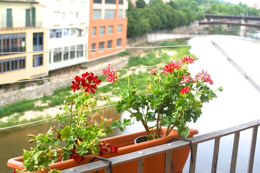 Casa Flora Appartement
